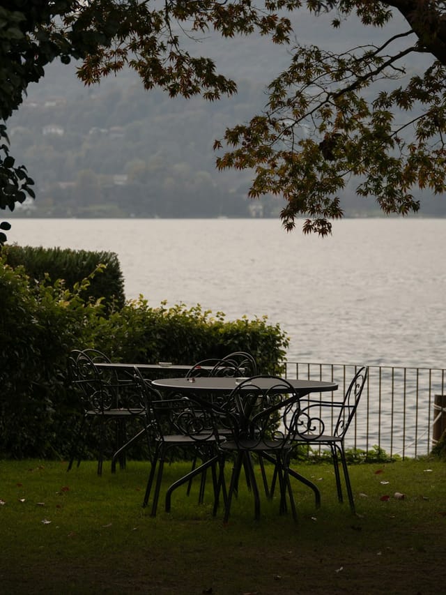 Ein gedeckter Gartentisch unter einem Baum mit Blick auf den See.